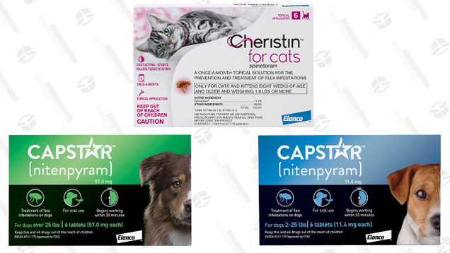 20% Off Select Flea Medication | Chewy | Discount shown at checkout. Limit 5 boxes.